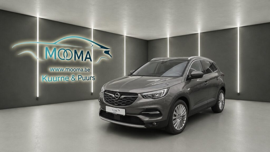 Opel Grandland X 1.2 Turbo Ultimate | Navi | Leder | Camera | PDC | Keyless